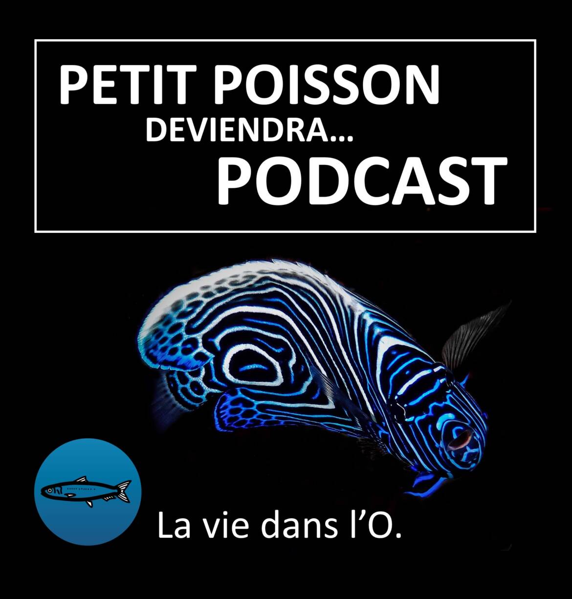 Baleine Sous Gravillon El Podcast De Los Naturalistas Buceo Gente