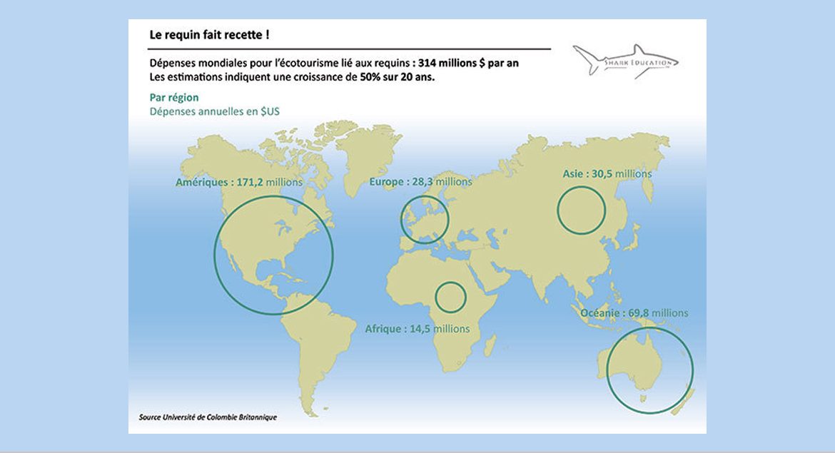 ECOTOURISME ET REQUINS