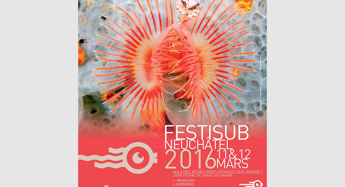 Festisub 2016 ca approche