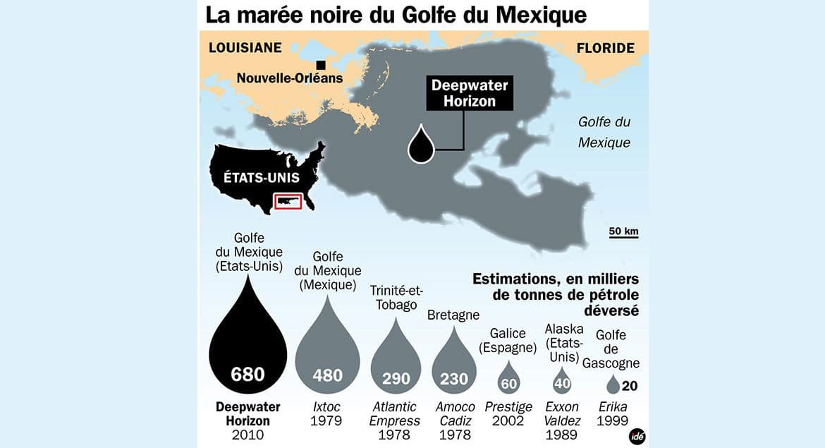 HÉCATOMBE DE DAUPHINS ET TORTUES