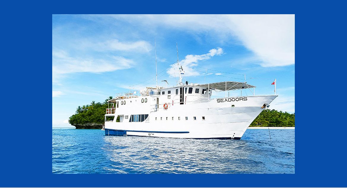 SIX CONSEILS POUR DES SAFARIS ET CROISIÈRES PLONGÉE EN TOUTE SÉCURITÉ