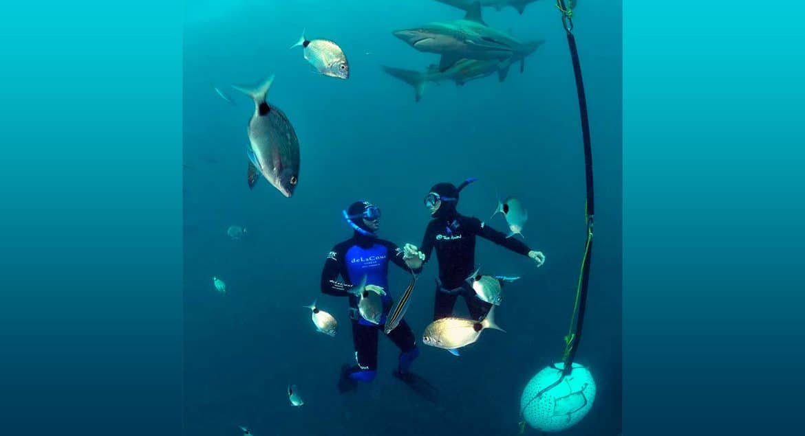 STAGE APNÉE & REQUINS AVEC PIERRE FROLLA