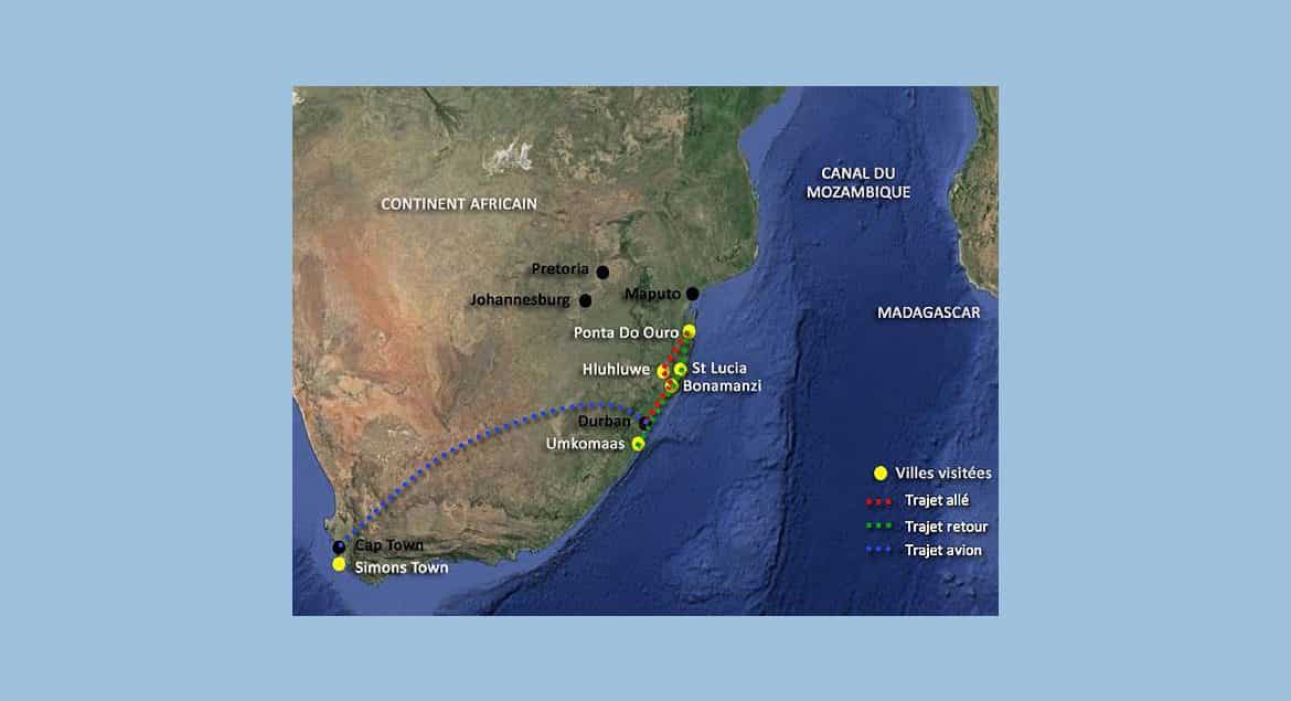 afrique-australe-plongees-a-shark-land