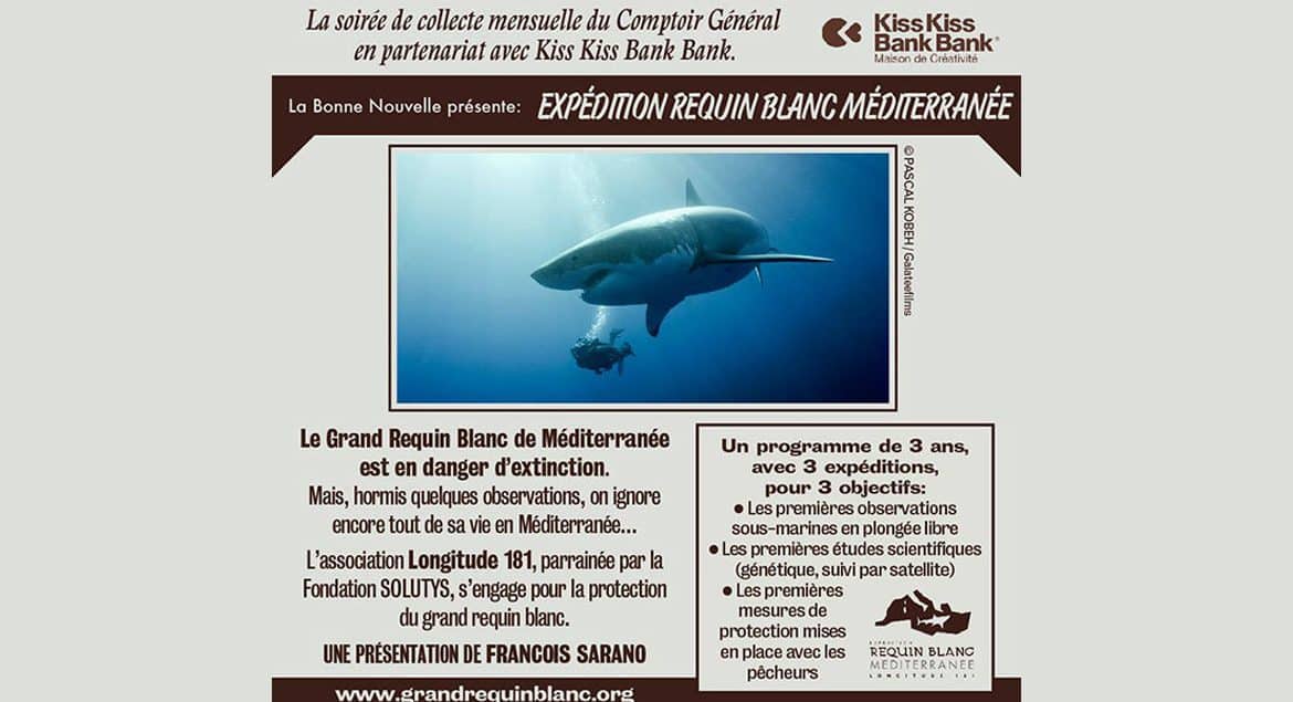 SOIRÉE EXPÉDITION REQUIN BLANC DE MEDITERRANEE