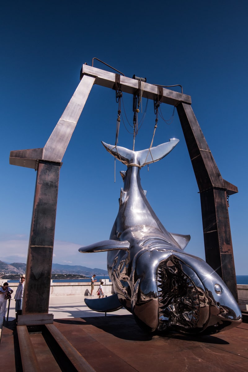 scultura di squalo