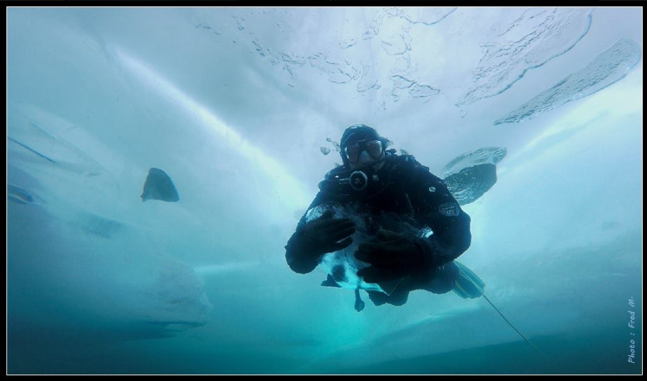 plongée sous glaces, destination de plongée, lac baïkal, plongée en russie