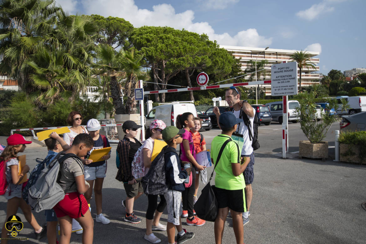 [brève] Naturdive crée une aire marine éducative à Cannes